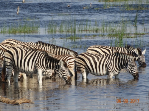 Botswana 