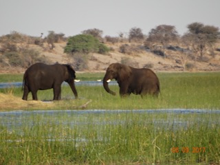 Botswana 