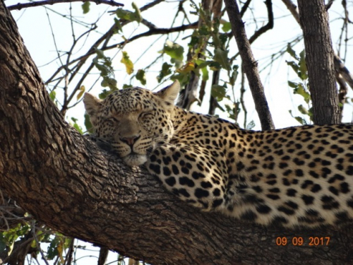 Botswana 