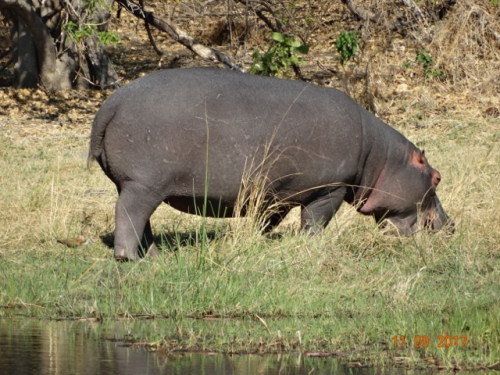 Botswana 