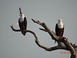 Botswana 