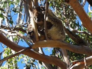 Australien