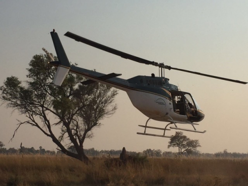 Afrika Safari