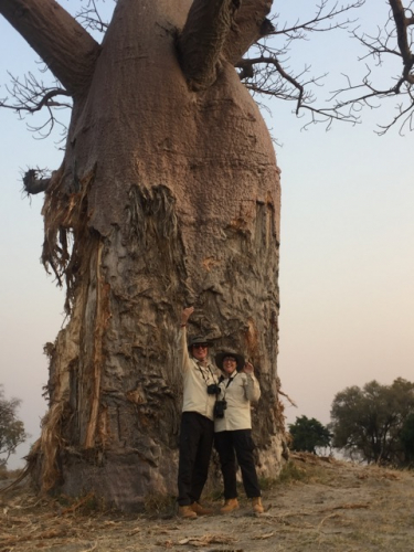 Botswana 