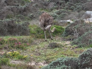 Garden Route