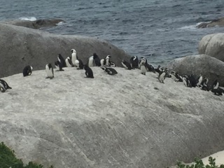 Südafrika 