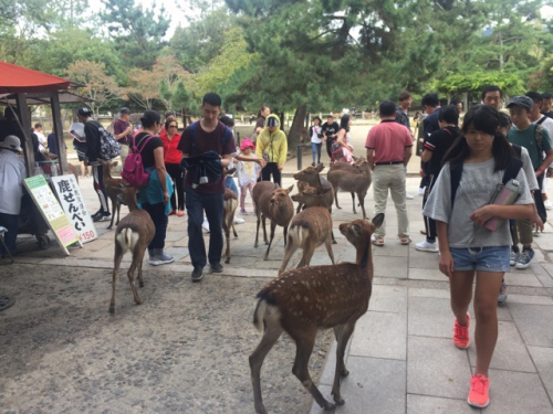 Japan