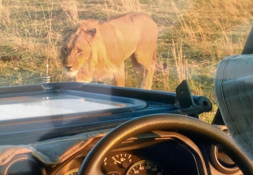 Botswana 