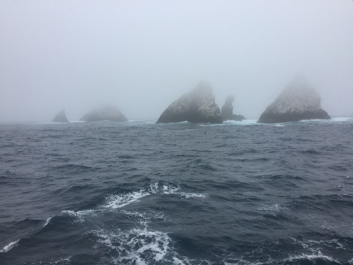 Auf hoher See