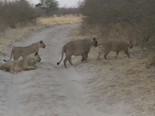 Botswana 