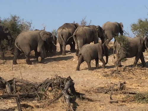 Botswana 