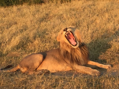 Botswana 