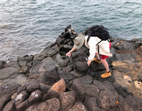 Safari auf Galapagos