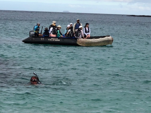 Safari auf Galapagos