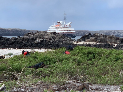 Safari auf Galapagos