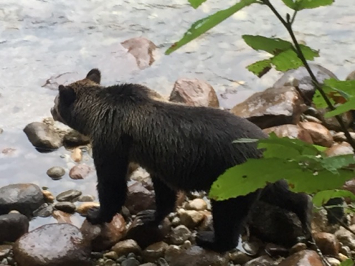 Kanada 
