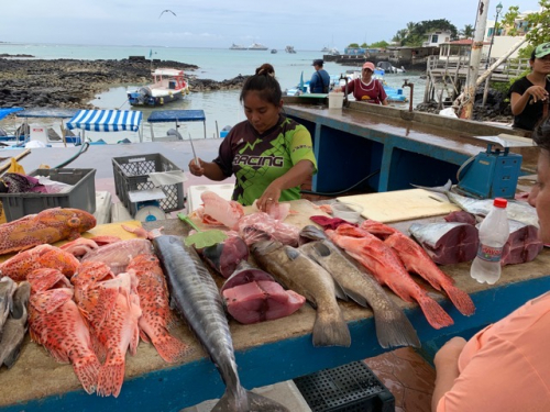 Puerto Ayora