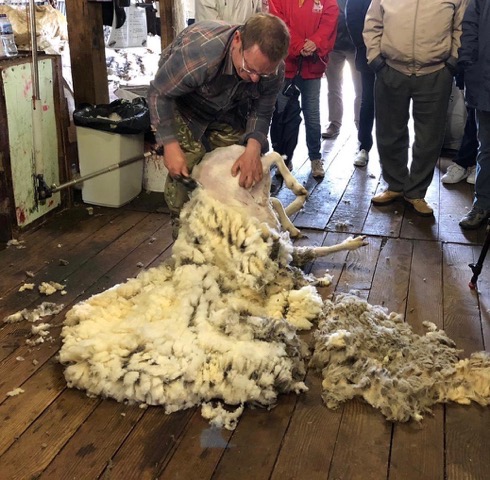 Falkland Islands